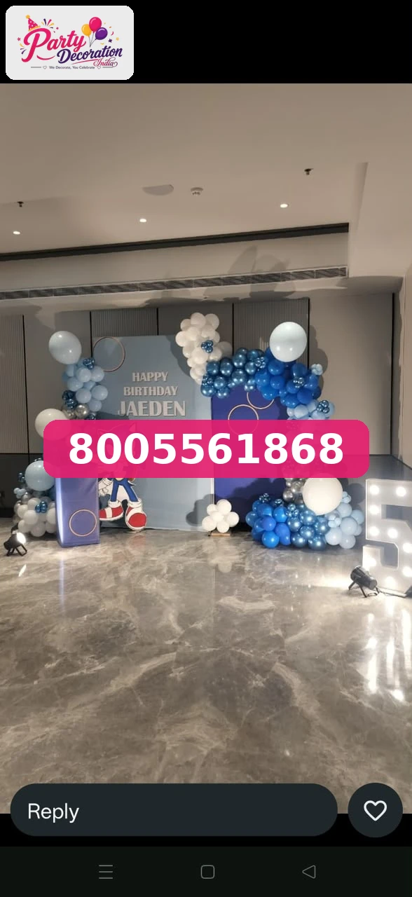 Party Decoration India Setup